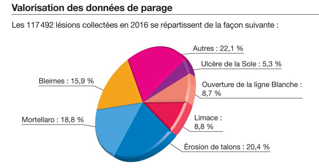 Camembert détaillant la répartition des lésions collectées en 2016